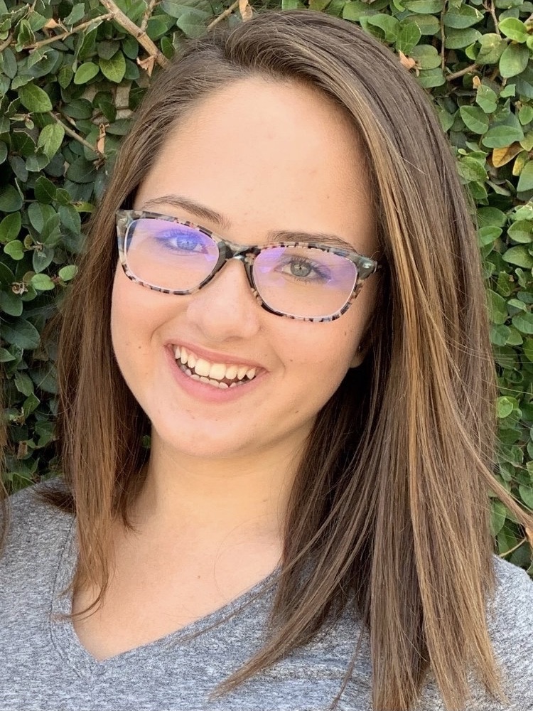 Lauren Stiles, Reporter